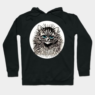 kitten blue eyes Hoodie